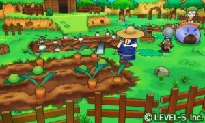 Fantasy Life 3DS