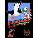 Duck Hunt